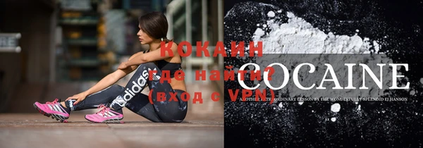 СК Калининец