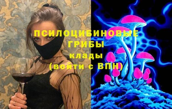 амф Фёдоровский
