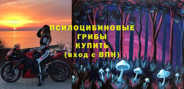 сатива Горно-Алтайск