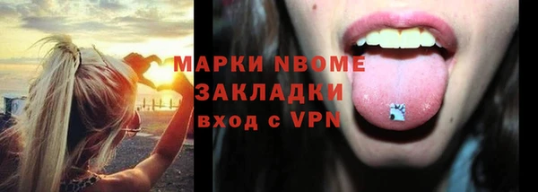 гидра Нестеровская