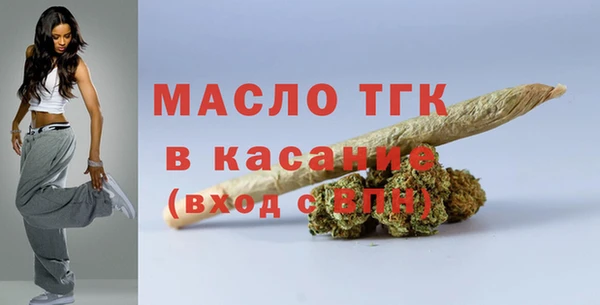 молекула духа Вяземский