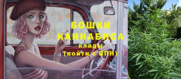 сатива Горно-Алтайск