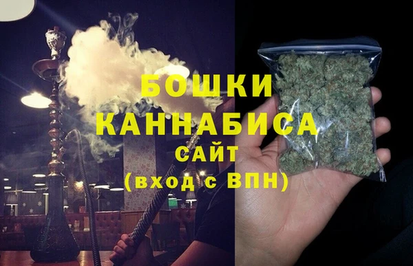 сатива Горно-Алтайск