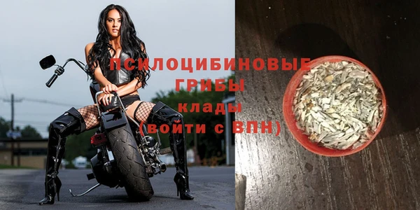 сатива Горно-Алтайск