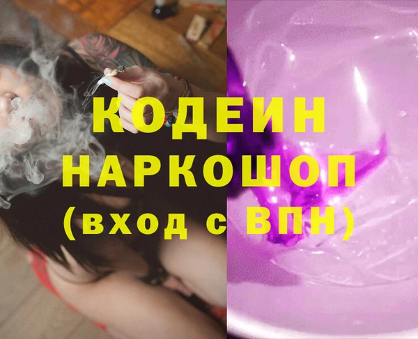 молекула духа Вяземский