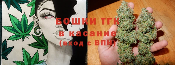 2c-b Горняк