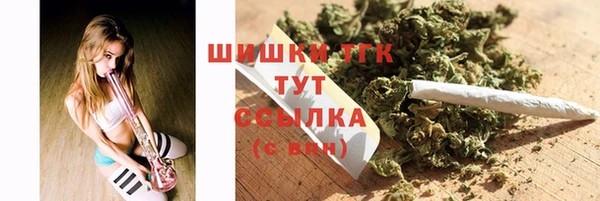 гидра Нестеровская