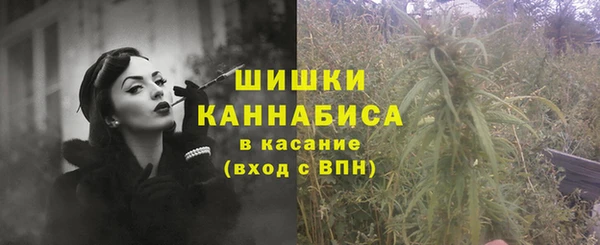 сатива Горно-Алтайск